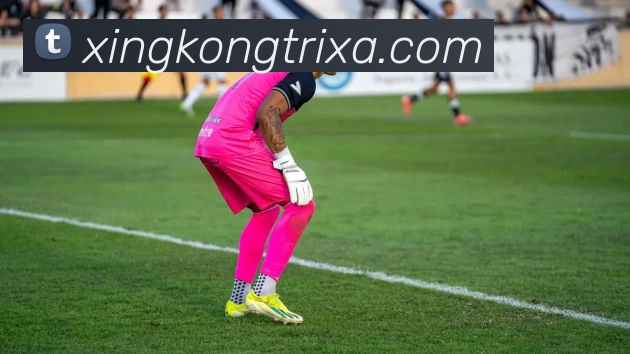 星空体育平台生态图