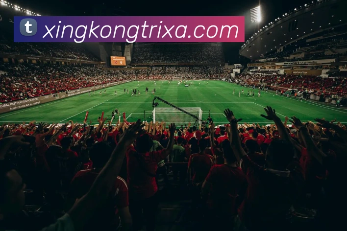 星空体育全站App